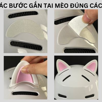 INSTRUCTIONS FOR APPLYING CAT EARS FOR GON ATN50-G